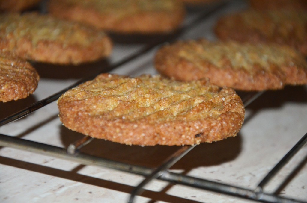 ????????????????????????????????????